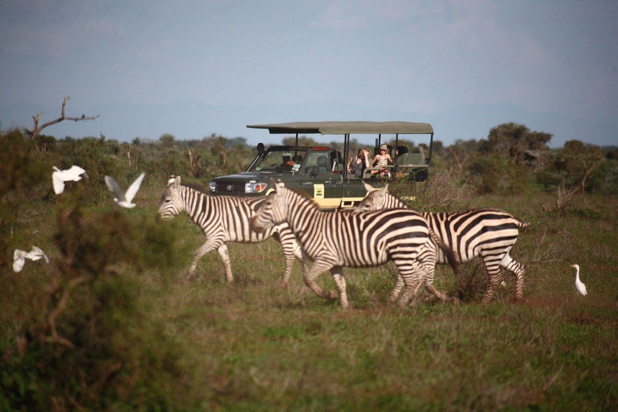 Hotel Elewana Tortilis Camp Amboseli Exterior foto